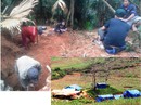 Xới tung núi rừng tìm vàng, đá quý Xới tung núi rừng tìm vàng, đá quý