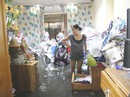 Cống ngăn triều gây… ngập! Cống ngăn triều gây… ngập!