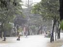 Lũ vượt báo động III, Hội An chìm trong biển nước Lũ vượt báo động III, Hội An chìm trong biển nước