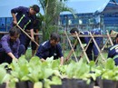 Hội Hoa Xuân TP HCM 2017: Độc đáo, mới lạ Hội Hoa Xuân TP HCM 2017: Độc đáo, mới lạ
