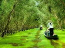 5 cung đường đáng cân nhắc cho chuyến du xuân đầu năm mới 5 cung đường đáng cân nhắc cho chuyến du xuân đầu năm mới