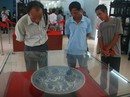Kho tàng dưới biển Cù Lao Chàm Kho tàng dưới biển Cù Lao Chàm