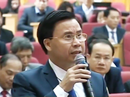 Đề xuất làm đường hầm cho… trâu bò qua quốc lộ Đề xuất làm đường hầm cho… trâu bò qua quốc lộ