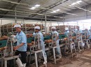 Mỹ rút khỏi TPP: Việt Nam mất cơ hội nhưng ít ảnh hưởng trực tiếp Mỹ rút khỏi TPP: Việt Nam mất cơ hội nhưng ít ảnh hưởng trực tiếp