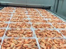 Nhộn nhịp đặc sản Tết miền Tây Nhộn nhịp đặc sản Tết miền Tây