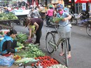 Phải có trách nhiệm với từng đồng kinh phí Công đoàn! Phải có trách nhiệm với từng đồng kinh phí Công đoàn!