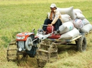 Muốn làm giàu phải tích tụ ruộng đất Muốn làm giàu phải tích tụ ruộng đất
