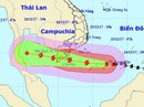 Ứng phó bão số 16: Chủ tịch UBND TP HCM yêu cầu không được chủ quan Ứng phó bão số 16: Chủ tịch UBND TP HCM yêu cầu không được chủ quan