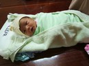 Bé gái khoảng 7 ngày tuổi bị bỏ rơi trước cổng chùa Bé gái khoảng 7 ngày tuổi bị bỏ rơi trước cổng chùa