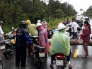 Cây to ngã chắn ngang đường ở Phú Quốc Cây to ngã chắn ngang đường ở Phú Quốc