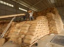 “Cởi trói” cho gạo xuất khẩu “Cởi trói” cho gạo xuất khẩu