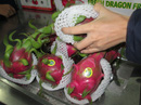 Không dễ bán hàng cho "nhà giàu" Không dễ bán hàng cho "nhà giàu"