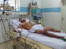 Báo động hiểm họa tiết canh! Báo động hiểm họa tiết canh!