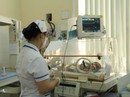 Rà soát các “mụ vườn” Rà soát các “mụ vườn”