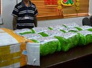 Mối nguy cỏ Mỹ, lá khat Mối nguy cỏ Mỹ, lá khat