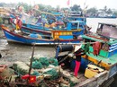 Cần Giờ trong diễn biến phức tạp của bão số 16 (Tembin) Cần Giờ trong diễn biến phức tạp của bão số 16 (Tembin)