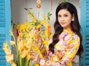 Phim Trương Quỳnh Anh tham gia đổi tên mới Phim Trương Quỳnh Anh tham gia đổi tên mới