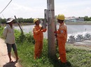 Kéo điện về giúp dân nuôi tôm Kéo điện về giúp dân nuôi tôm