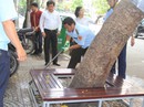 Quận 1 quyết “giành lại” vỉa hè Quận 1 quyết “giành lại” vỉa hè