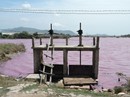 Chưa thể phục hồi điều tra nữ giám đốc vụ tiêm máu nhiễm HIV vào trẻ em Chưa thể phục hồi điều tra nữ giám đốc vụ tiêm máu nhiễm HIV vào trẻ em