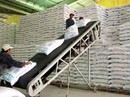 Đường tồn kho cao kỷ lục Đường tồn kho cao kỷ lục