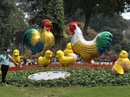 800.000 lượt khách đến với Hội Hoa xuân 2017 800.000 lượt khách đến với Hội Hoa xuân 2017