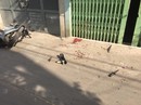 Cụ bà chết thảm vì gã hàng xóm điên cuồng Cụ bà chết thảm vì gã hàng xóm điên cuồng