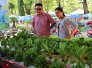 Trồng rau thủy canh giữa lòng thành phố Trồng rau thủy canh giữa lòng thành phố