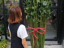 Hoa hồng thân cao, giá nửa triệu vẫn cháy hàng dịp Valentine Hoa hồng thân cao, giá nửa triệu vẫn cháy hàng dịp Valentine