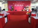 Trả được 244 tỉ đồng, vàng Phước Sơn vẫn bị mở thủ tục phá sản Trả được 244 tỉ đồng, vàng Phước Sơn vẫn bị mở thủ tục phá sản