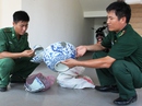Khai quật tàu cổ trước 20-9 Khai quật tàu cổ trước 20-9