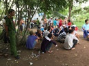 Nổ súng phá trường gà nằm ngay mặt tiền đường Nổ súng phá trường gà nằm ngay mặt tiền đường