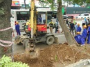Bắt đầu chặt hạ gần 1.300 cây xanh trên đường Phạm Văn Đồng Bắt đầu chặt hạ gần 1.300 cây xanh trên đường Phạm Văn Đồng