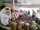 Nông nghiệp gắn với homestay trên quê hương Bác Tôn Nông nghiệp gắn với homestay trên quê hương Bác Tôn