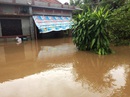 Phú Yên: Nước sông đột ngột lên cao, 1 người bị cuốn trôi Phú Yên: Nước sông đột ngột lên cao, 1 người bị cuốn trôi