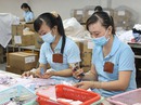 Lạc quan đơn hàng xuất khẩu Lạc quan đơn hàng xuất khẩu