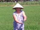 Truy tìm kẻ rải miểng chai đầy ruộng lúa Truy tìm kẻ rải miểng chai đầy ruộng lúa
