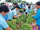 Buồn như... không tăng ca Buồn như... không tăng ca