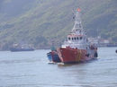 Đưa 3 ngư dân gặp nạn trên vùng biển Hoàng Sa vào bờ Đưa 3 ngư dân gặp nạn trên vùng biển Hoàng Sa vào bờ