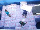 Đến lượt lúa gạo lo giải cứu? Đến lượt lúa gạo lo giải cứu?