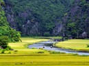 Lịch trình trốn nóng cuối tuần với Tam Cốc mùa lúa chín trong 24 giờ Lịch trình trốn nóng cuối tuần với Tam Cốc mùa lúa chín trong 24 giờ