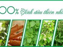 Bước đột phá dòng sản phẩm cao xoa chứa 100% tinh dầu thiên nhiên Bước đột phá dòng sản phẩm cao xoa chứa 100% tinh dầu thiên nhiên