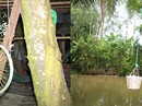 Công trình "siêu độc" của nông dân miền Tây Công trình "siêu độc" của nông dân miền Tây