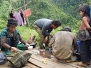 Hoang mộng vàng trên đỉnh Mà Sa Phìn Hoang mộng vàng trên đỉnh Mà Sa Phìn