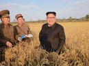 Chính quyền ông Donald Trump lần đầu thừa nhận liên lạc trực tiếp với Triều Tiên Chính quyền ông Donald Trump lần đầu thừa nhận liên lạc trực tiếp với Triều Tiên