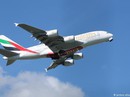 UAE cấm cửa phụ nữ Tunisia, nhận lại phản ứng mạnh tay UAE cấm cửa phụ nữ Tunisia, nhận lại phản ứng mạnh tay