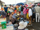 Nhộn nhịp chợ cá Dư Khánh những ngày đầu năm Nhộn nhịp chợ cá Dư Khánh những ngày đầu năm