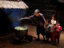Xuân này con không về! Xuân này con không về!