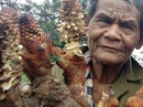 Sơn nhân và những cuộc săn "lộc rừng" Sơn nhân và những cuộc săn "lộc rừng"