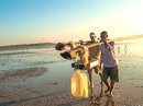 Sớm mai ghé bến cá Đèn Đỏ, kiếm cá 'độc" ăn chơi Sớm mai ghé bến cá Đèn Đỏ, kiếm cá 'độc" ăn chơi